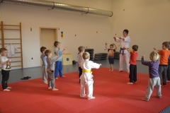 judo_ms_minisvet (11)