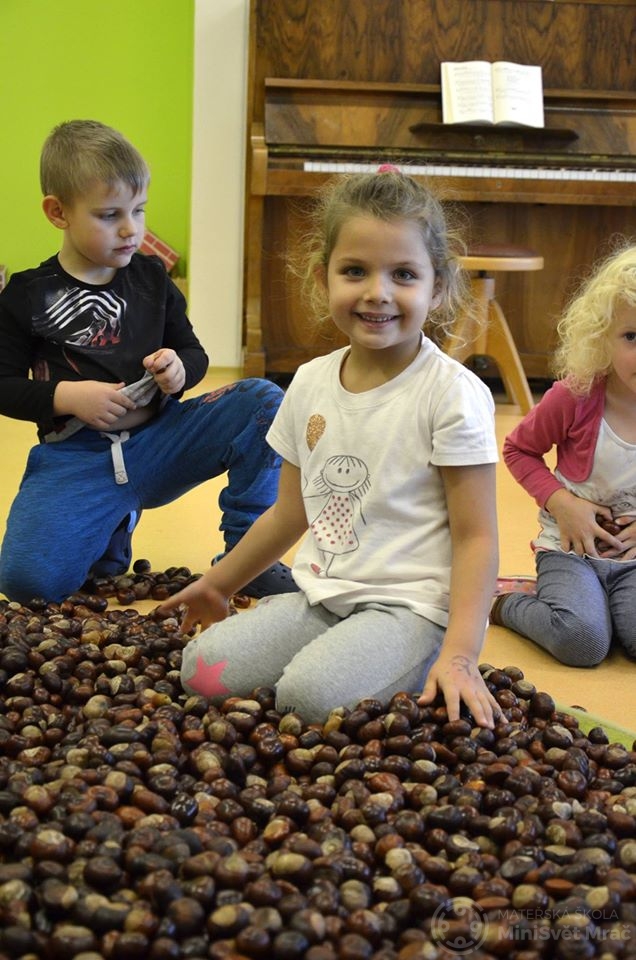 kastankovani_materska_skola_minisvet (27)