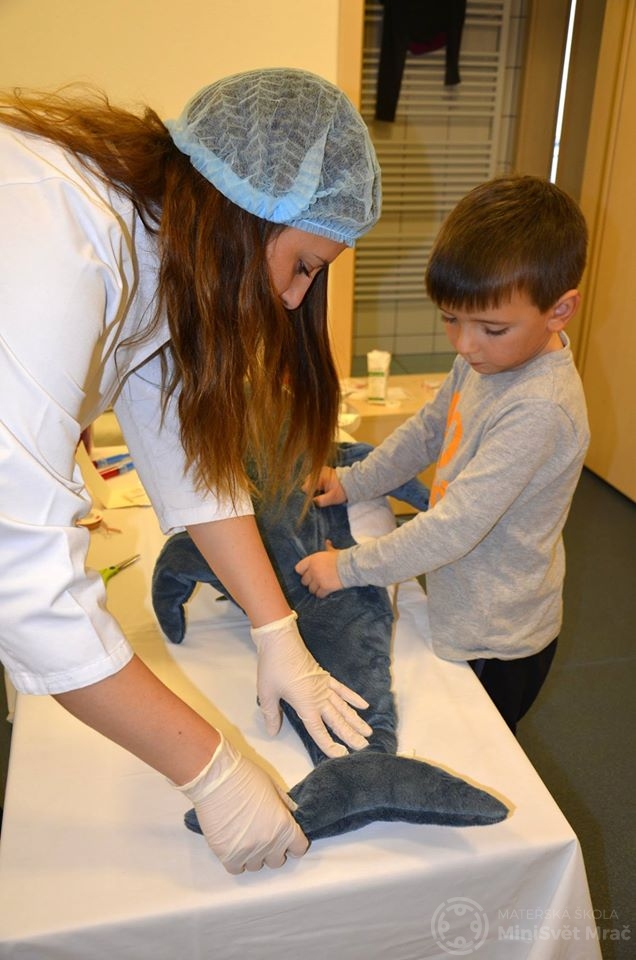 nemocnice_pro_plysaky_minisvet (30)