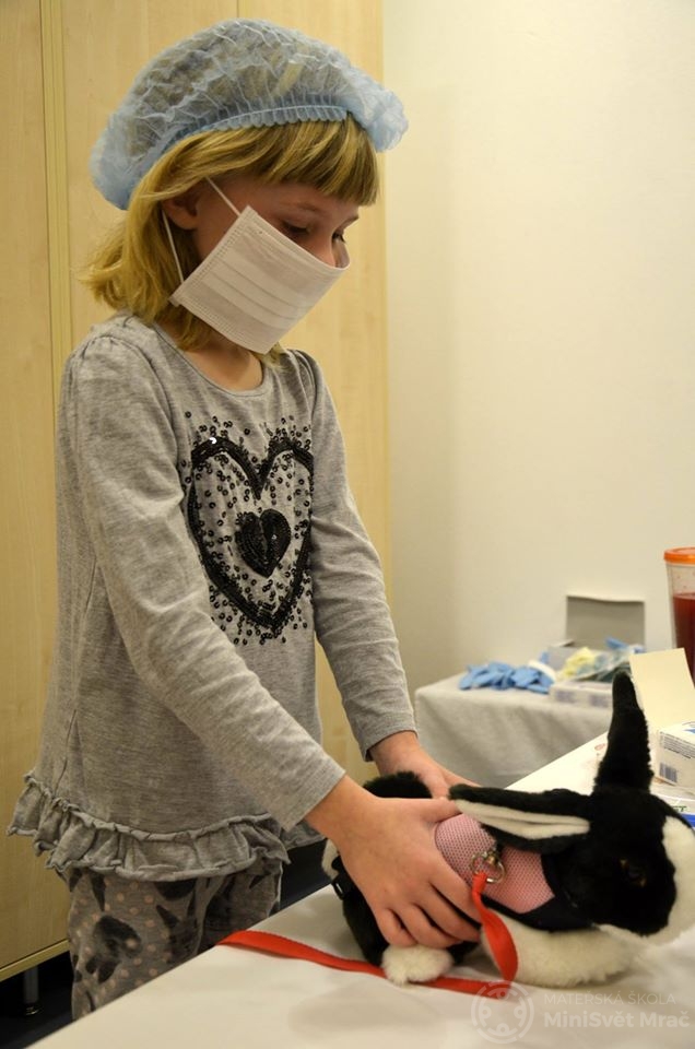nemocnice_pro_plysaky_minisvet (32)