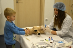 nemocnice_pro_plysaky_minisvet (17)