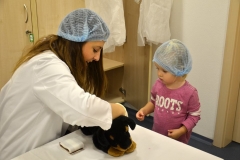 nemocnice_pro_plysaky_minisvet (22)