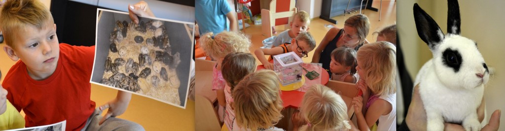 Ochránci přírody ve školce - 5.října