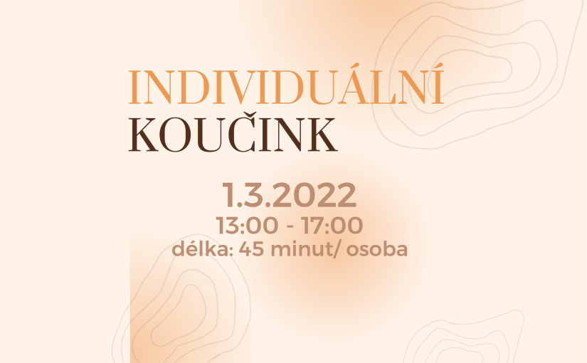 Individuální koučink (566 × 392 mm) (1)