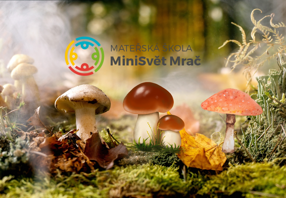 Houbová pohádka(566 × 392 px)