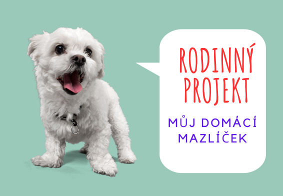 Můj mazlíček (566 × 392 px)